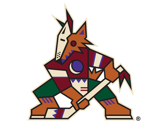 Arizona Coyotes® Home Decor & Memorabilia
