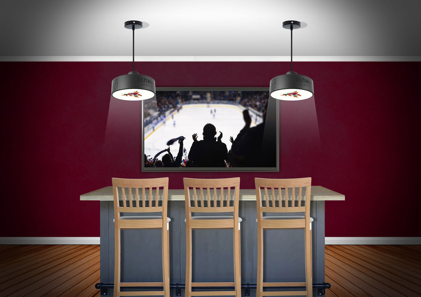 Arizona Coyotes® Hockey Puck Light Fixture