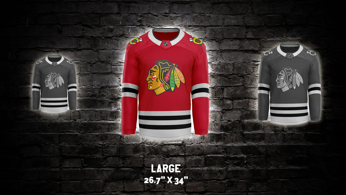 Chicago Blackhawks® Wall Art