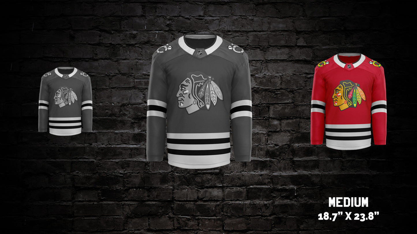 Chicago Blackhawks® Wall Art