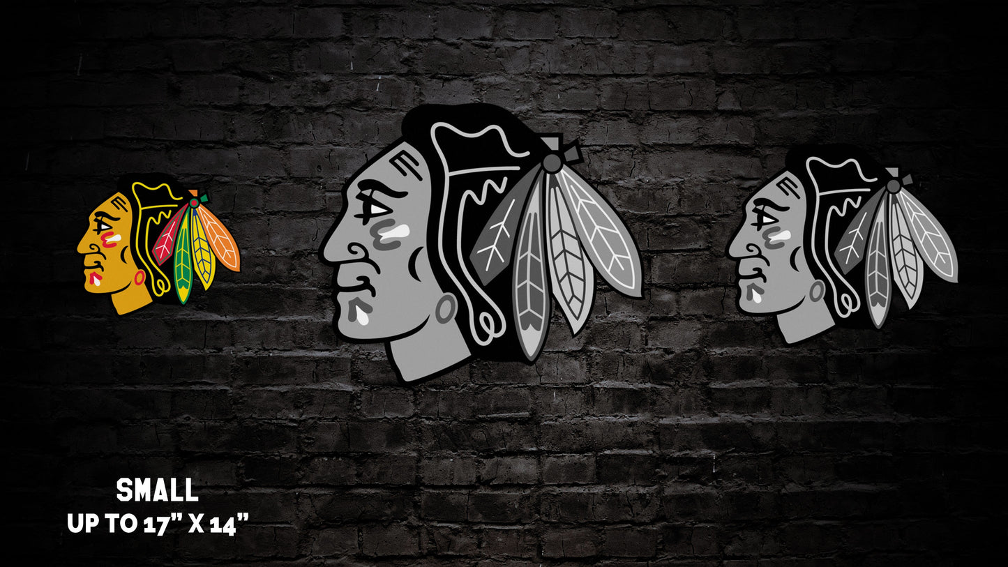 Chicago Blackhawks® Logo Wall Art