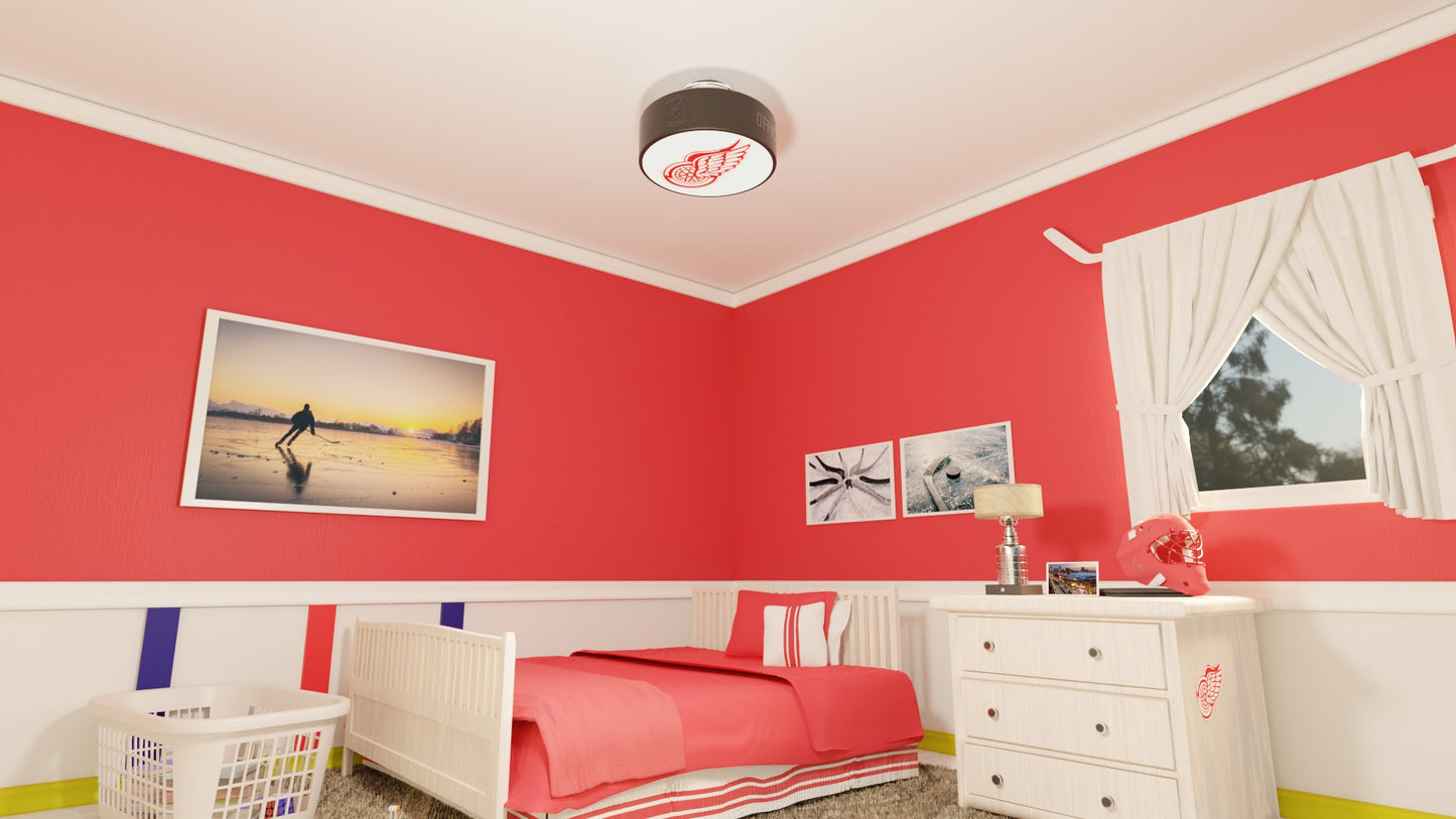Detroit Red Wings® Hockey Puck Light Fixture