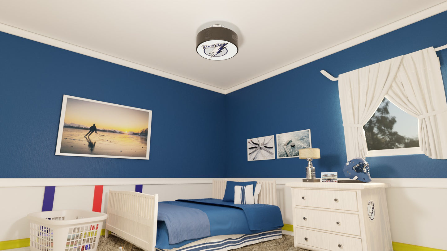 Tampa Bay Lightning® Hockey Flush Mount Puck Light Fixture