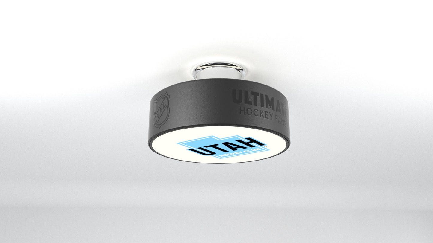 Utah Mammoth™ Hockey Puck Light Fixture