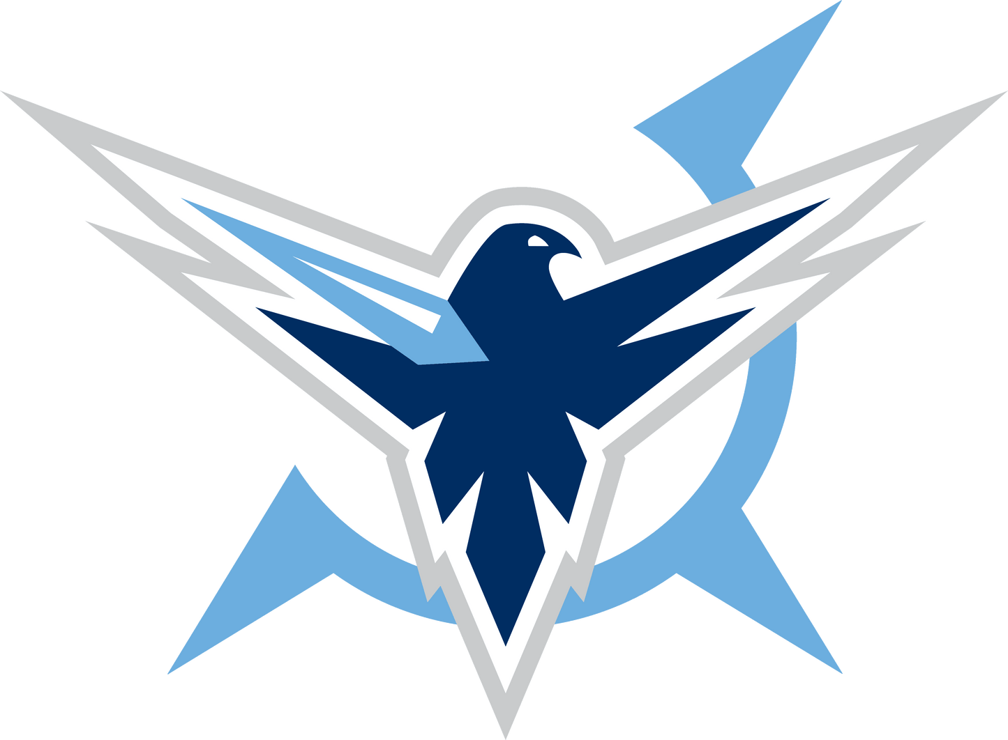 Ice Hawks Minor Hockey Fan Blades