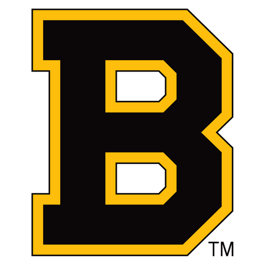 Vintage Boston Bruins 1933-34 - Ultimate Hockey Ceiling Fans