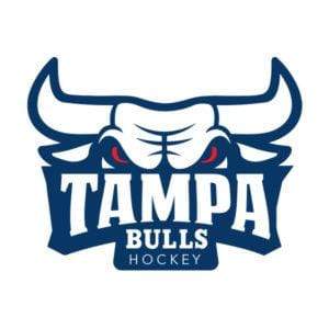 Tampa Bulls Fan Blades