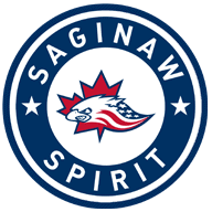 Saginaw Spirit OHL Ceiling Fan Blades