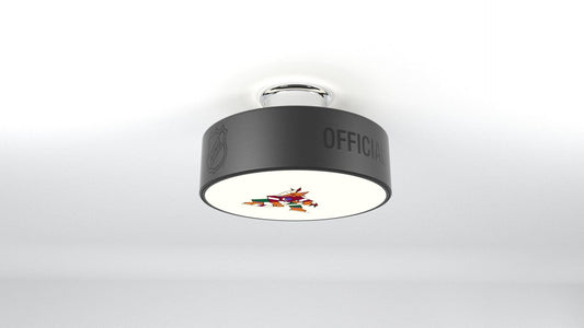 Arizona Coyotes® Hockey Puck Light Fixture