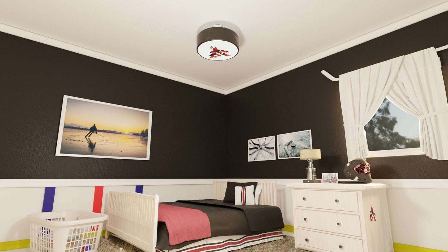 Arizona Coyotes® Hockey Puck Light Fixture