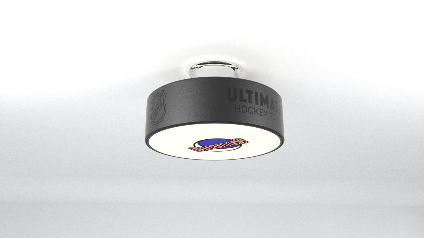 Arizona Coyotes® Hockey Puck Light Fixture