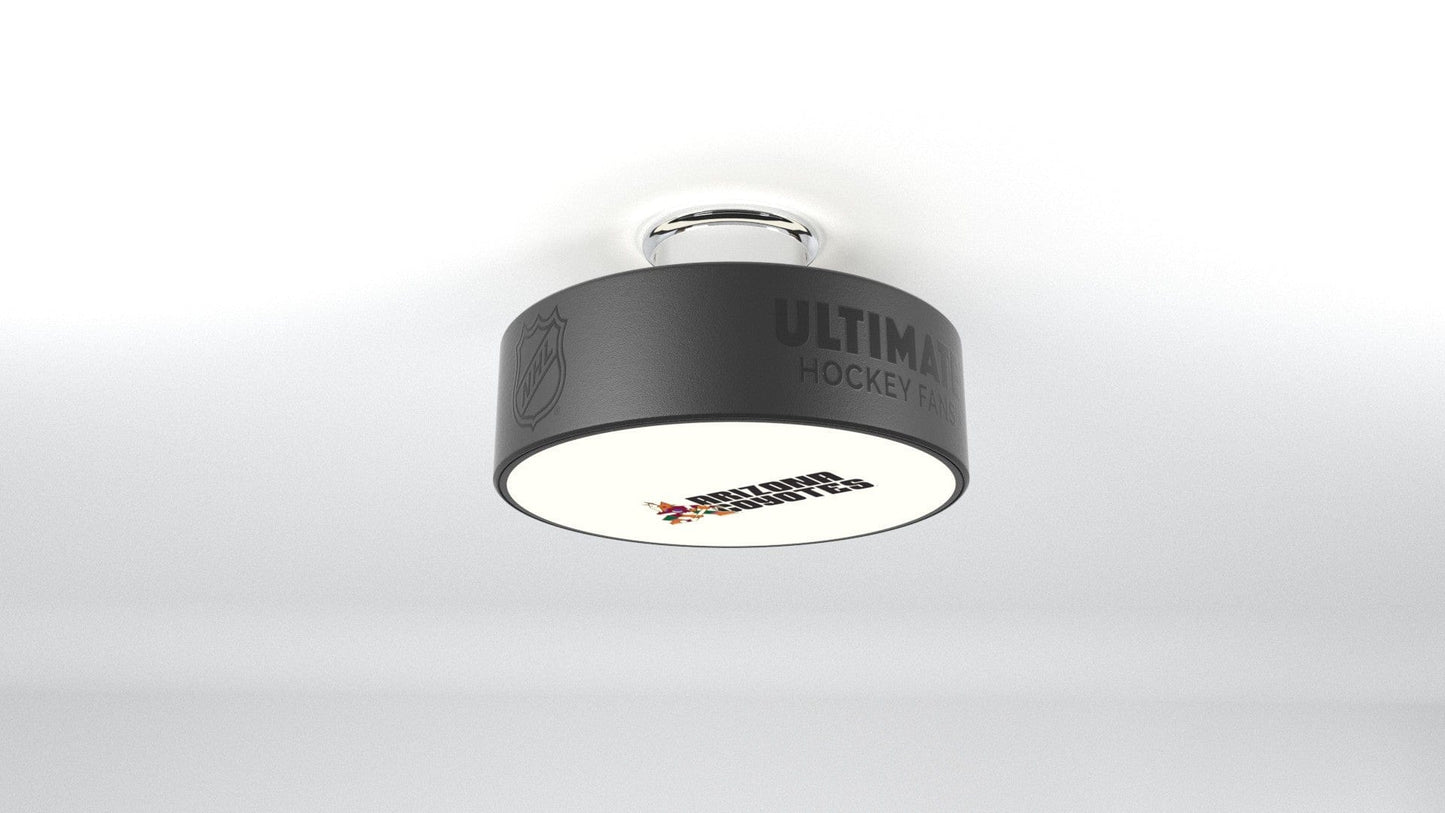 Arizona Coyotes® Hockey Puck Light Fixture