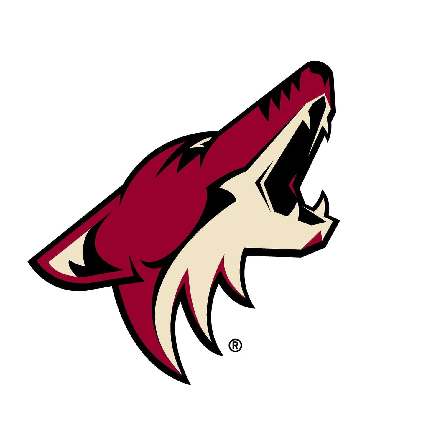 Arizona Coyotes® Puck Light Lens