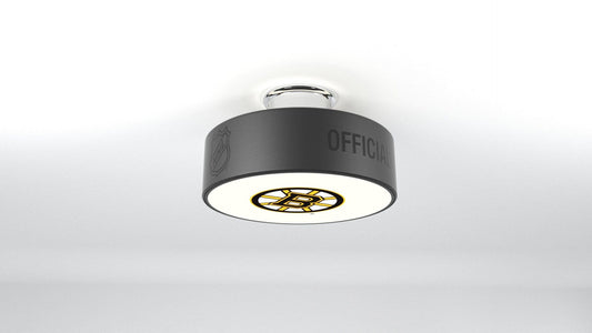 Boston Bruins® Hockey Puck Light Fixture