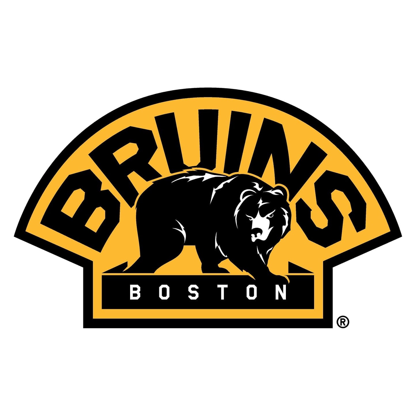 Boston Bruins® Puck Light Lens