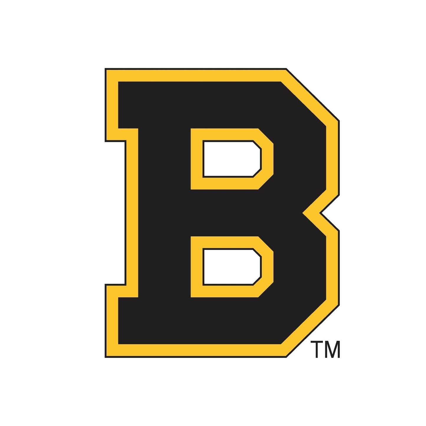 Boston Bruins® Puck Light Lens