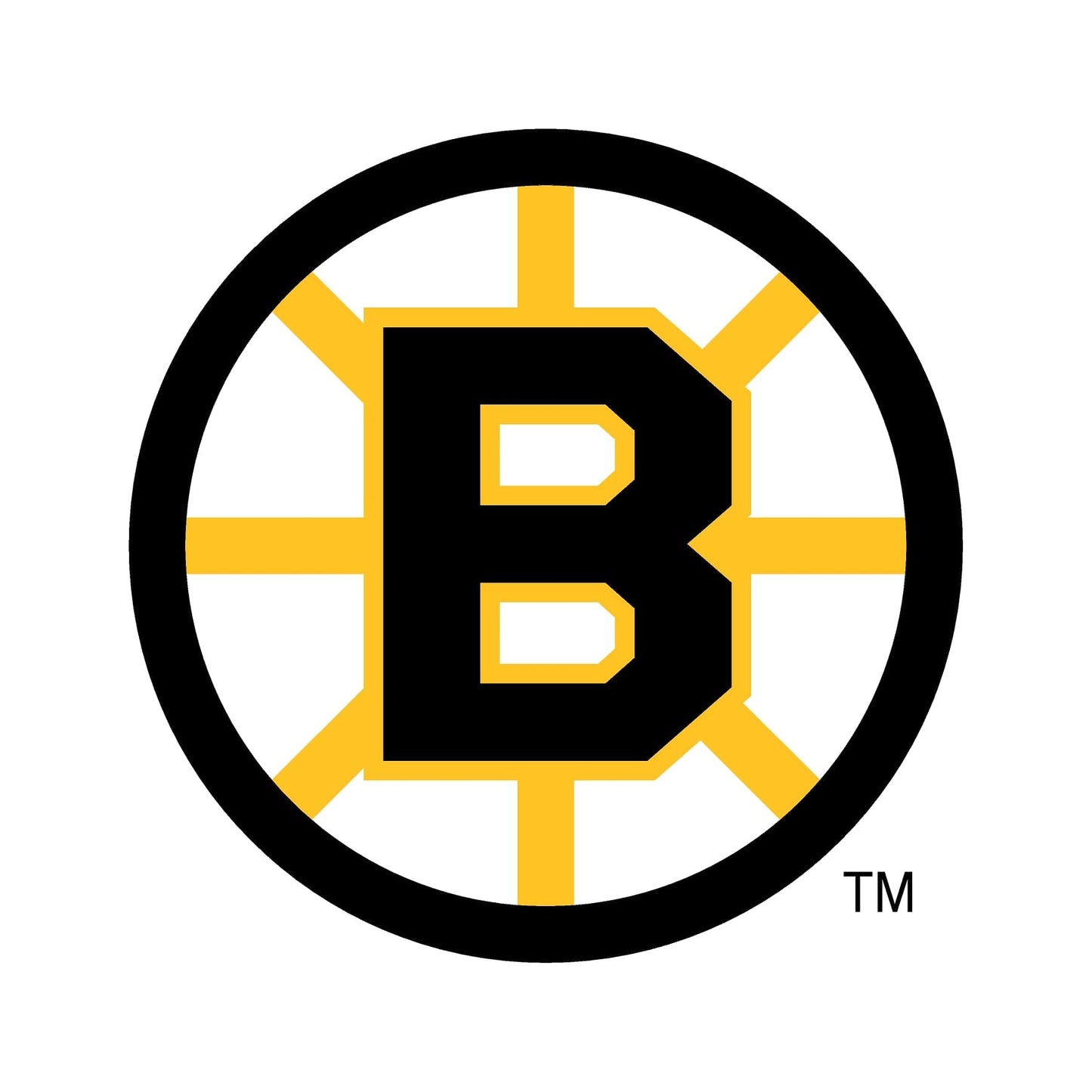Boston Bruins® Puck Light Lens