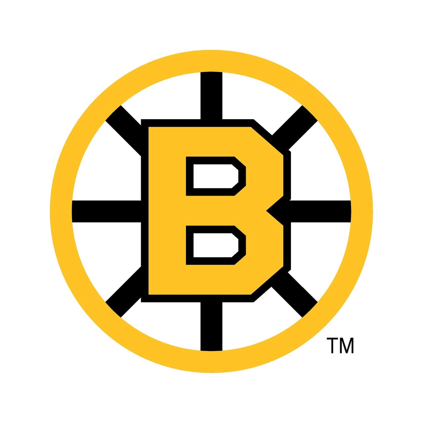 Boston Bruins® Puck Light Lens