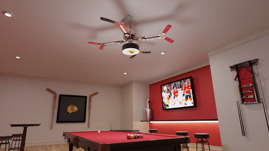 Chicago Blackhawks® Fan