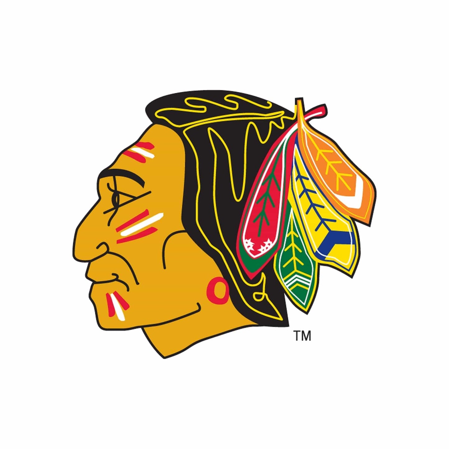 Chicago Blackhawks® Puck Light Lens
