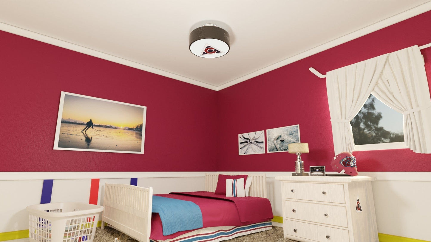 Colorado Avalanche® Hockey Puck Light Fixture