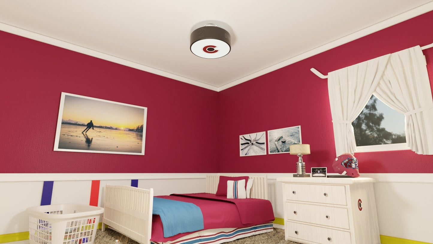 Colorado Avalanche® Hockey Puck Light Fixture
