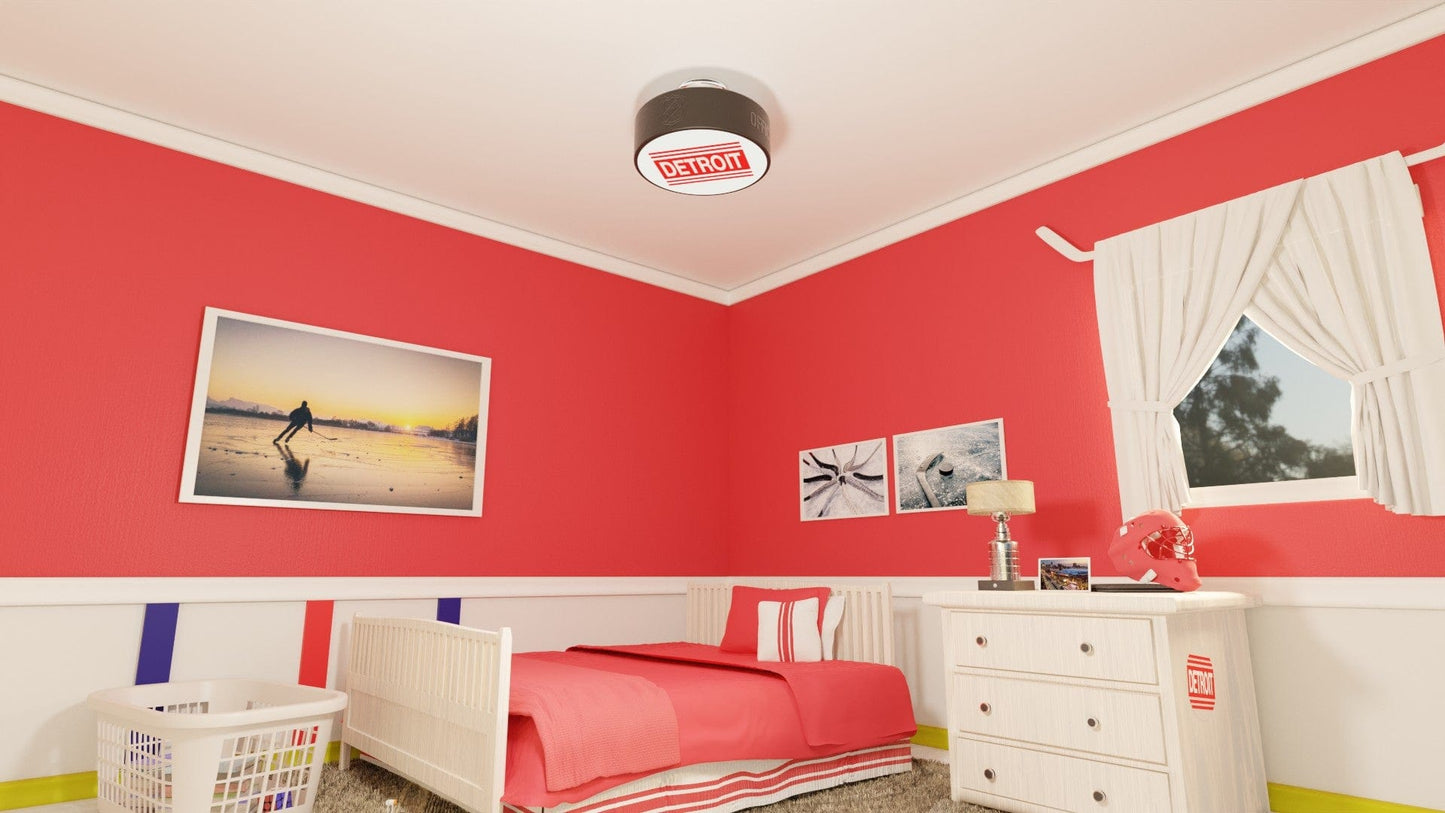 Detroit Red Wings® Hockey Puck Light Fixture