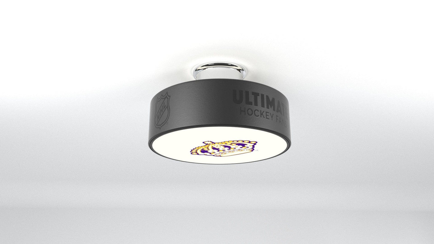 LA Kings® Hockey Puck Light Fixture