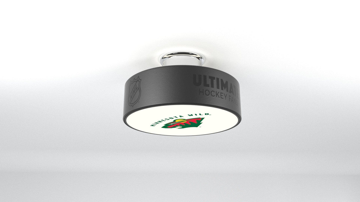 Minnesota Wild® Hockey Puck Light Fixture