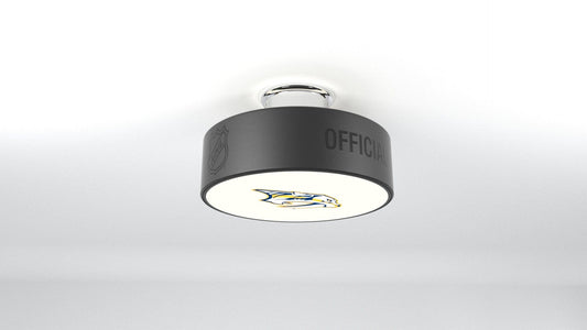 Nashville Predators® Hockey Puck Light Fixture