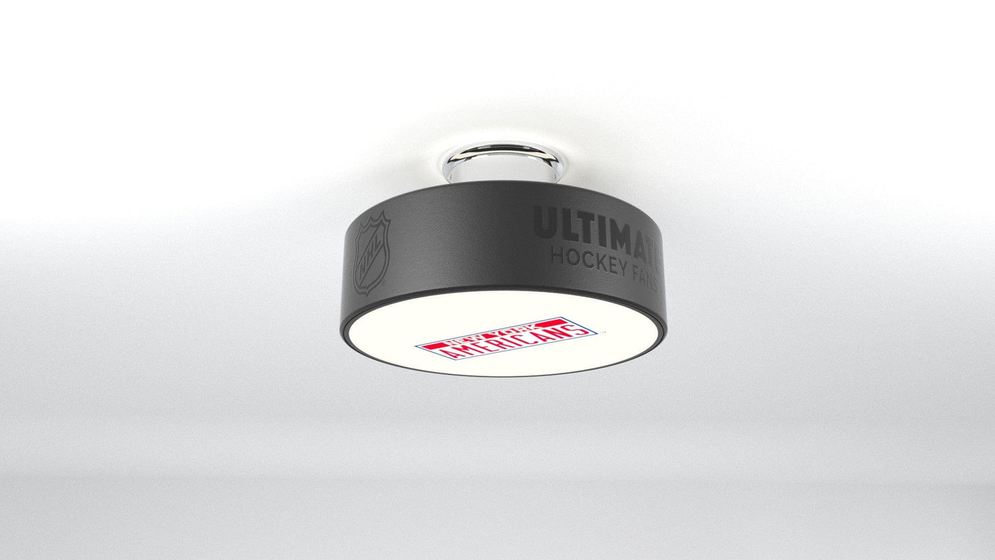 New York Rangers® Hockey Puck Light Fixture