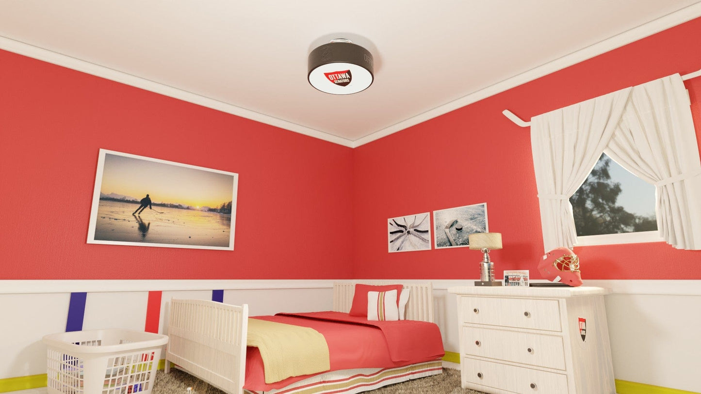 Ottawa Senators® Hockey Puck Light Fixture