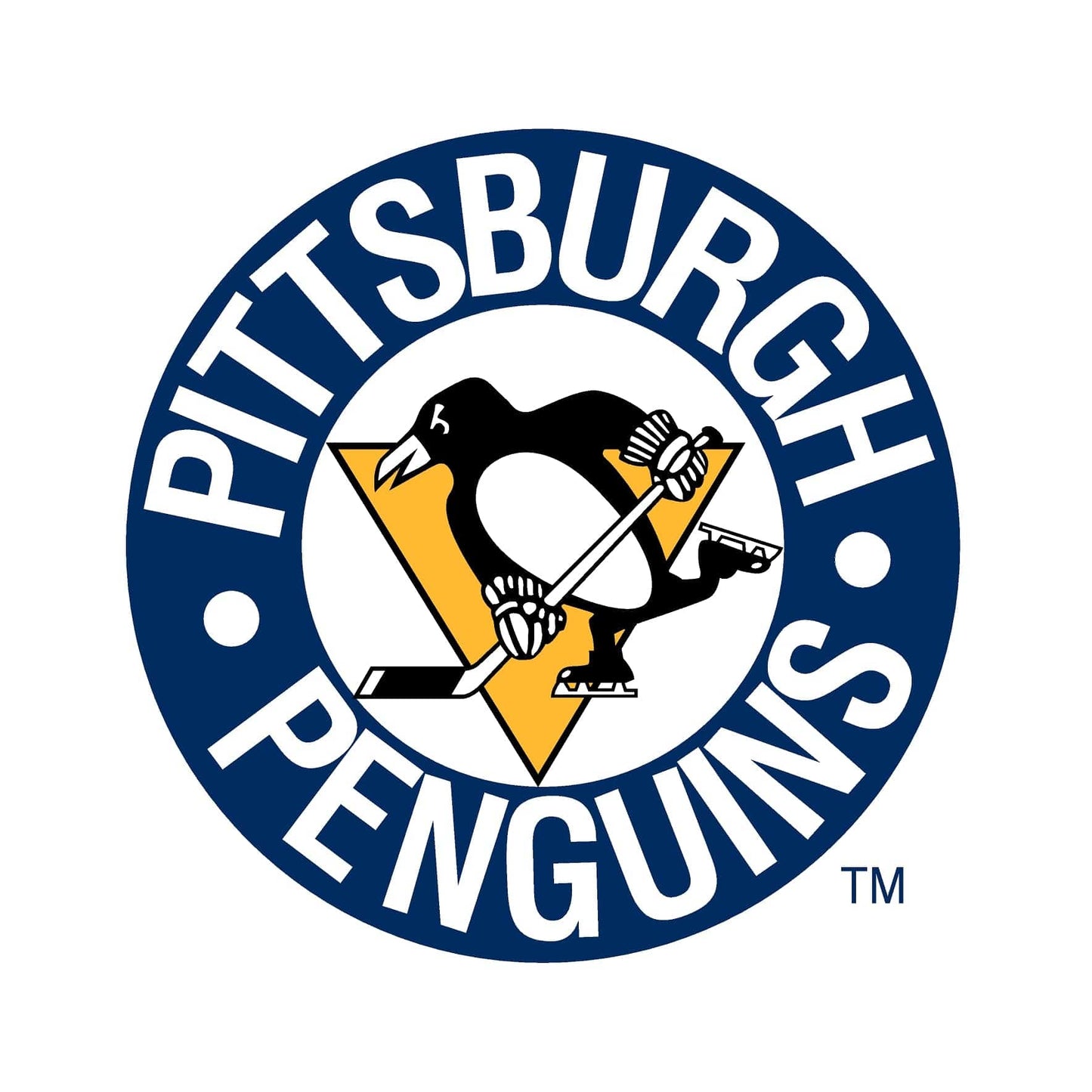 Pittsburgh Penguins® Puck Light Lens