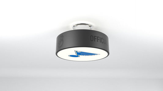 St. Louis Blues® Hockey Puck Light Fixture