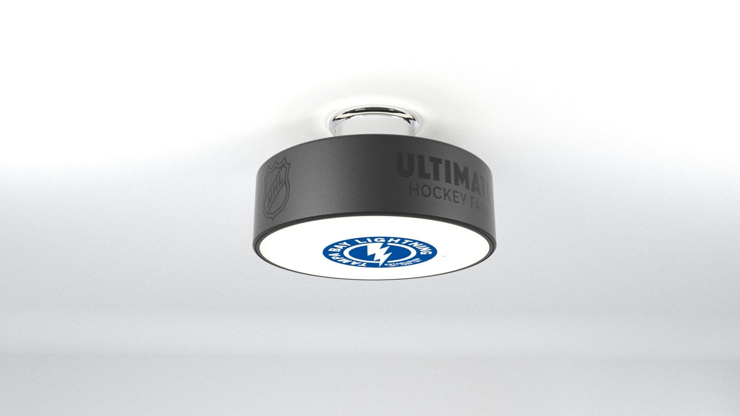 Tampa Bay Lightning® Hockey Puck Light Fixture