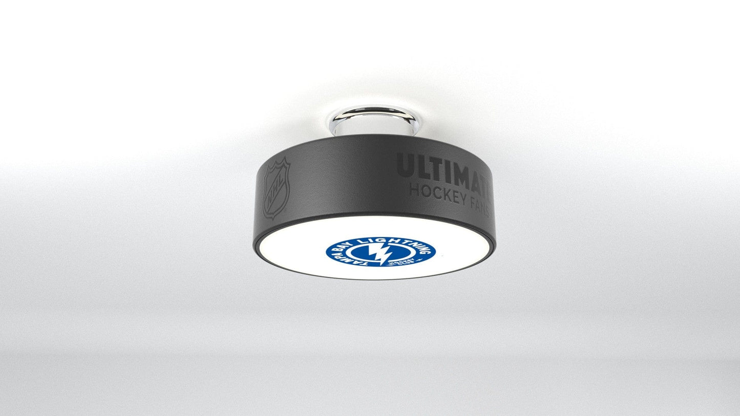 Tampa Bay Lightning® Hockey Puck Light Fixture