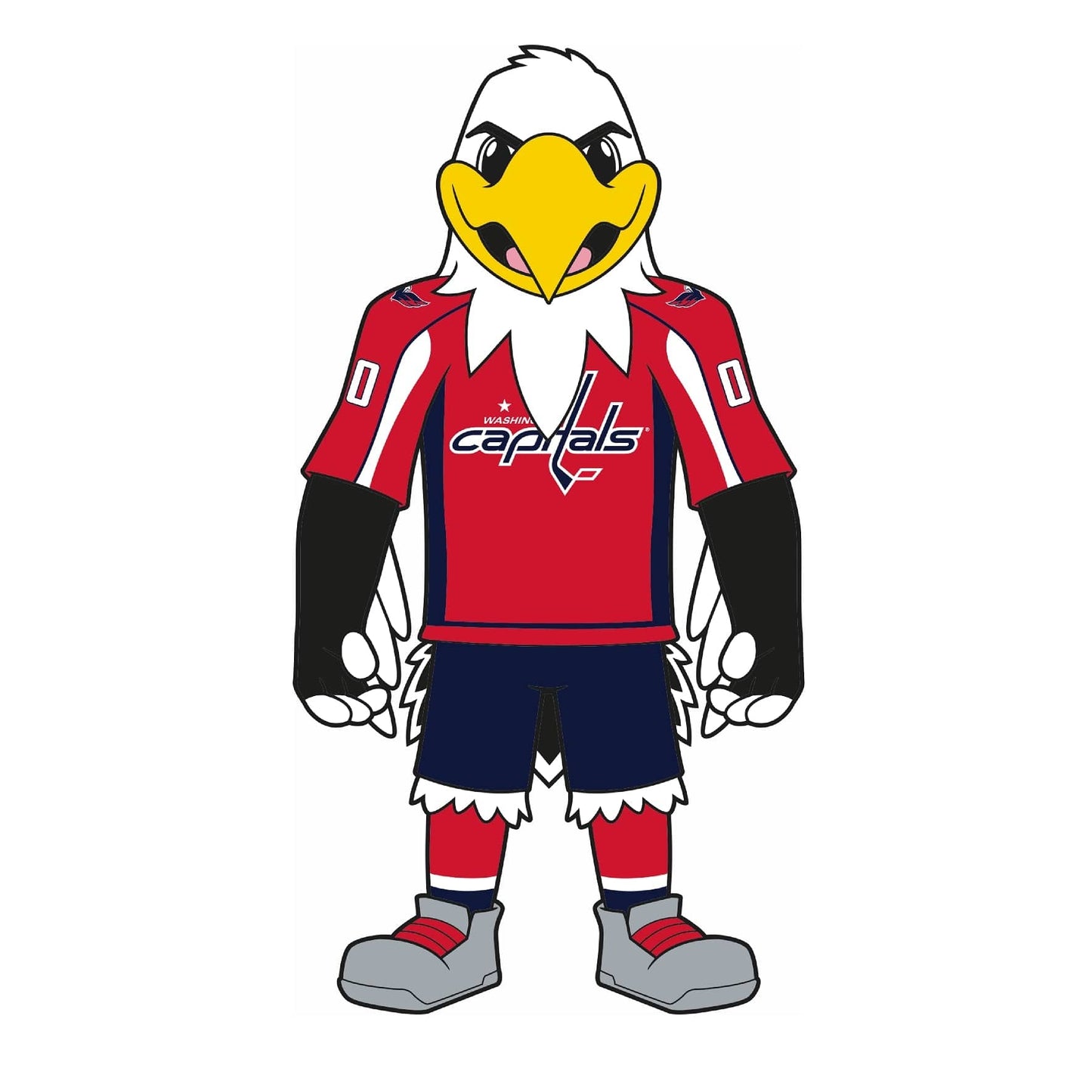 Washington Capitals® Puck Light Lens