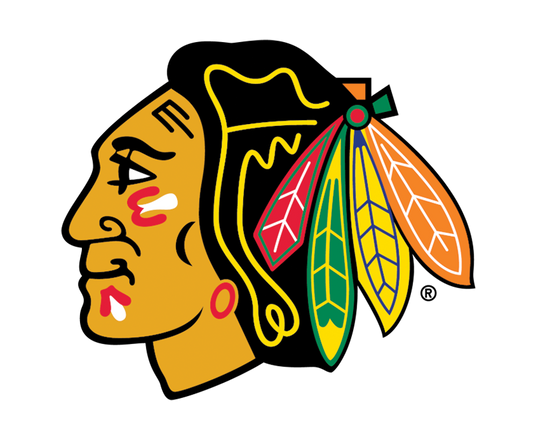 Detroit Red Wings® NHL Hockey Ceiling Fan – Ultimate Hockey Fans