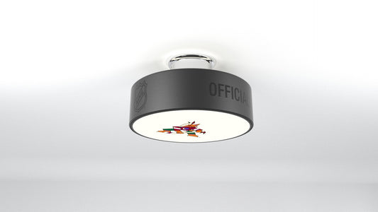 Arizona Coyotes® Hockey Flush Mount Puck Light Fixture