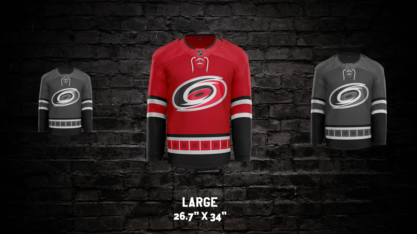 Carolina Hurricanes® Jersey Wall Art