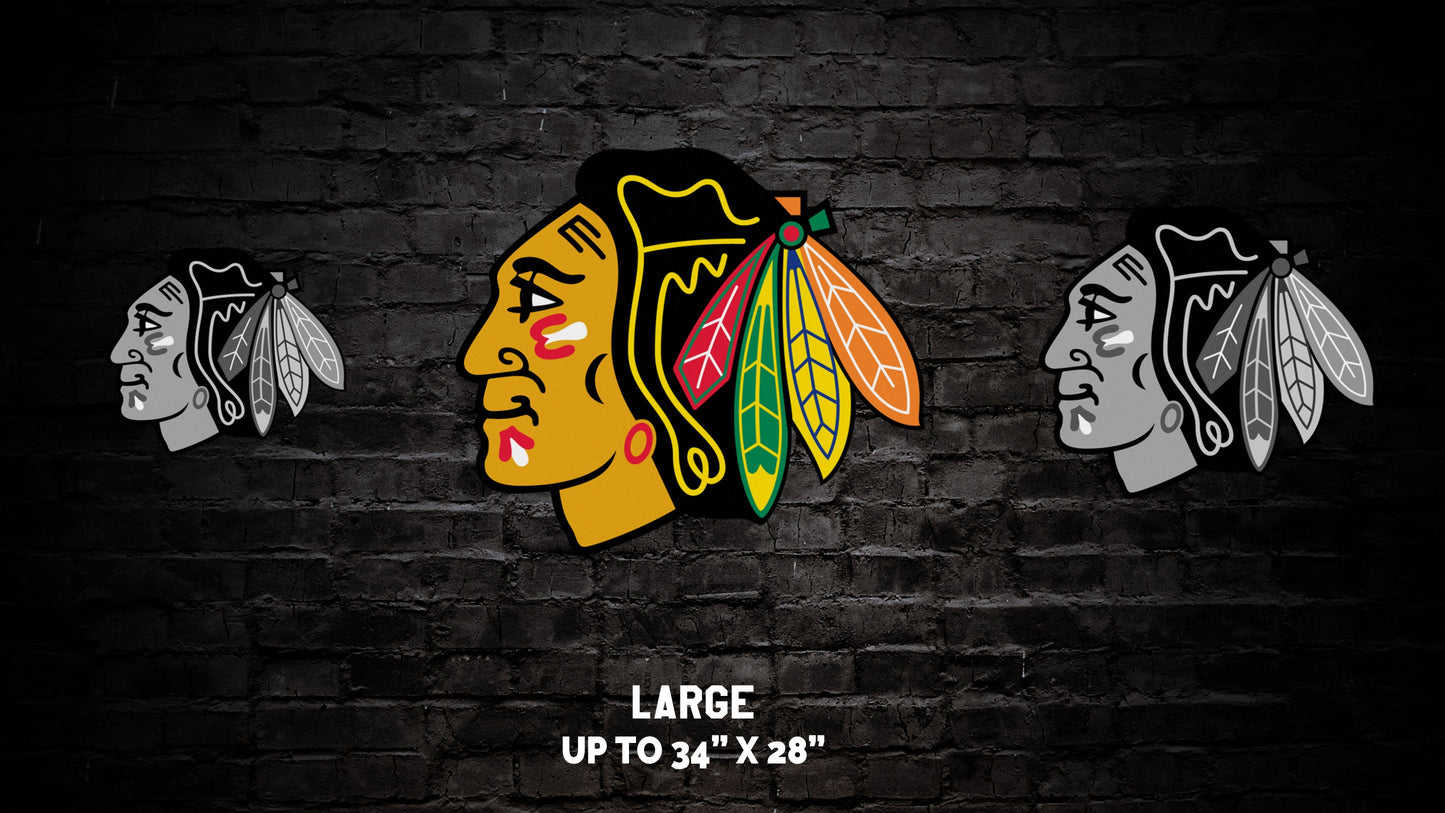 Chicago Blackhawks® Logo Wall Art