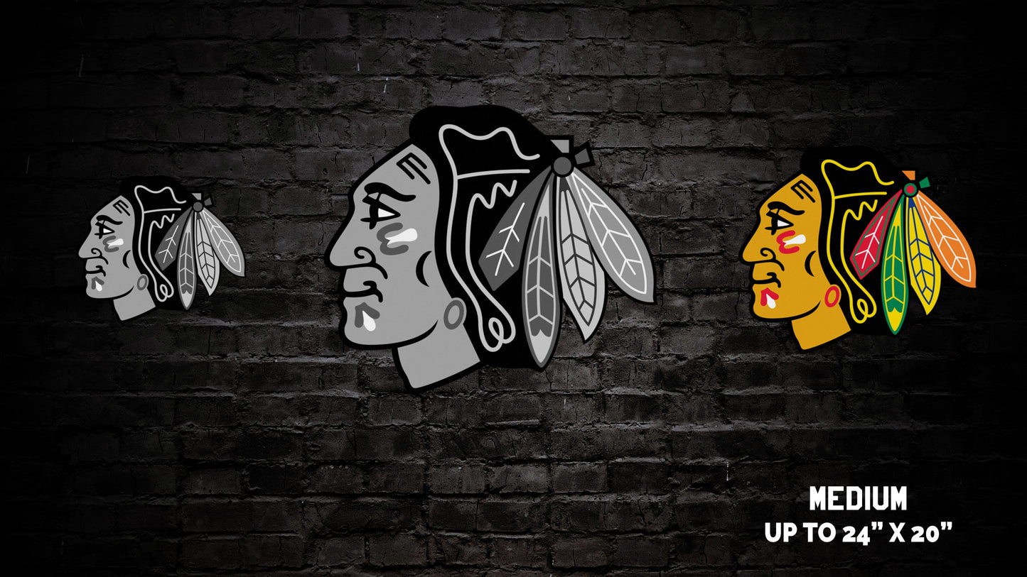 Chicago Blackhawks® Logo Wall Art