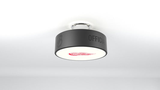 Detroit Red Wings® Hockey Puck Light Fixture