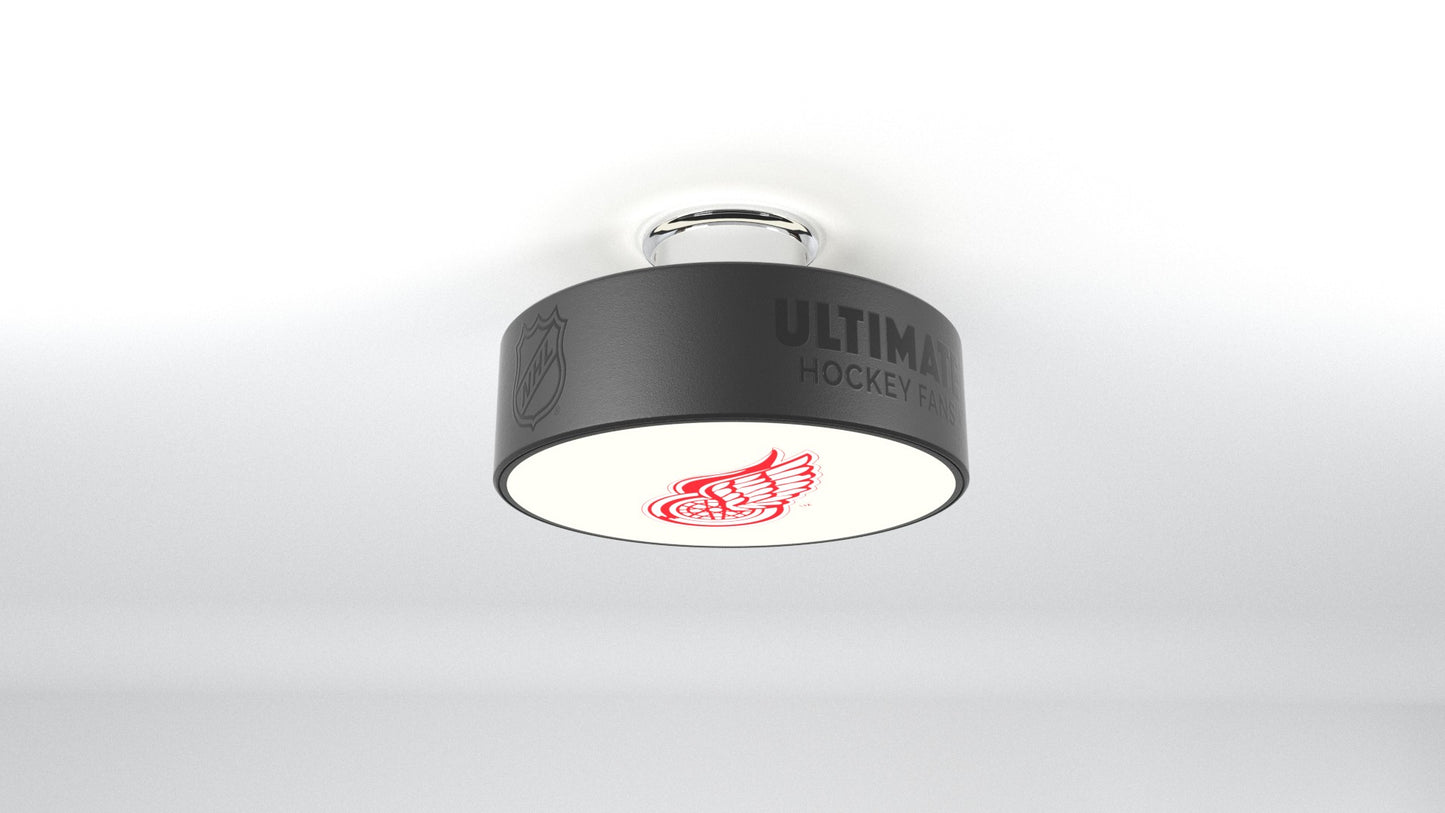 Detroit Red Wings® Hockey Puck Light Fixture