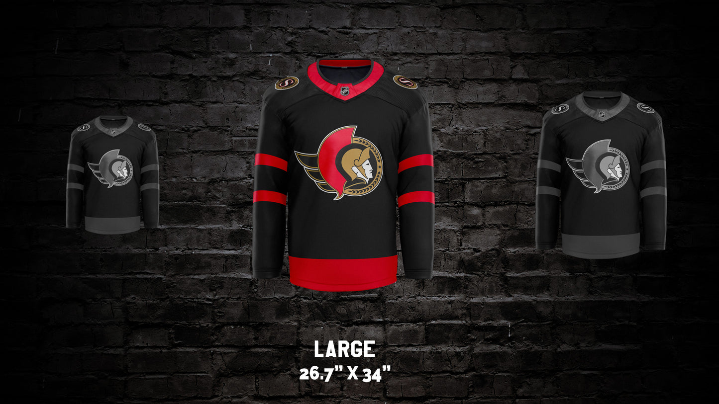 Ottawa Senators® Wall Art