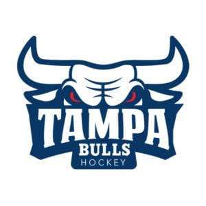 Tampa Bulls Hockey Ceiling Fan