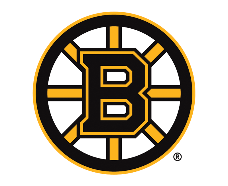 Boston Bruins® Hockey Puck Light Fixture