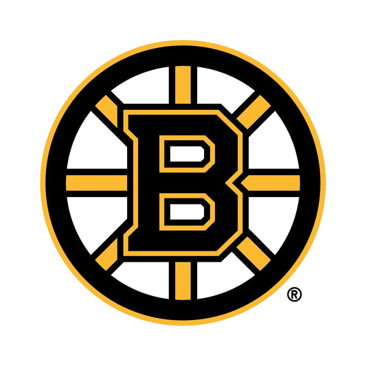 Boston Bruins® Puck Light Lens