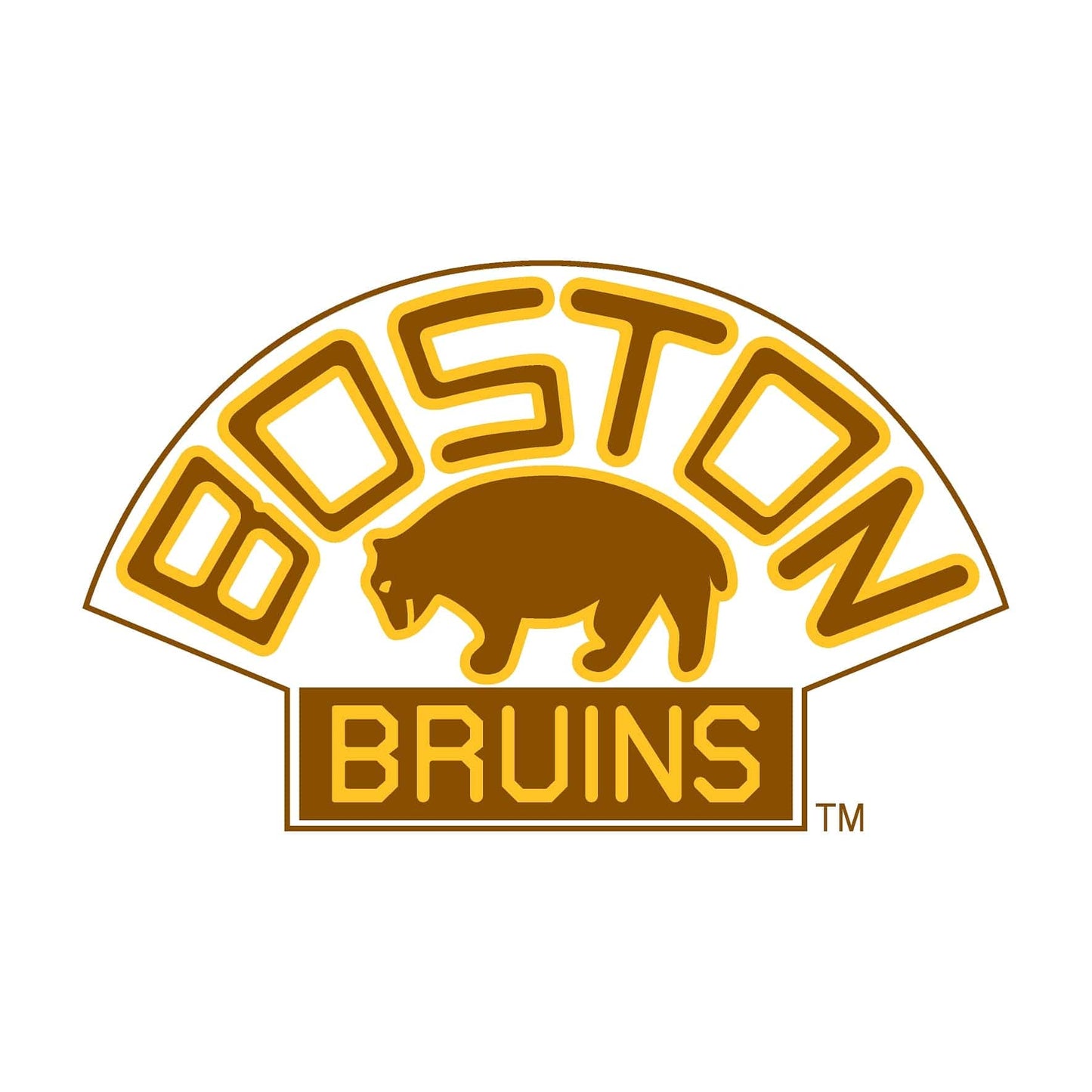 Boston Bruins® Puck Light Lens