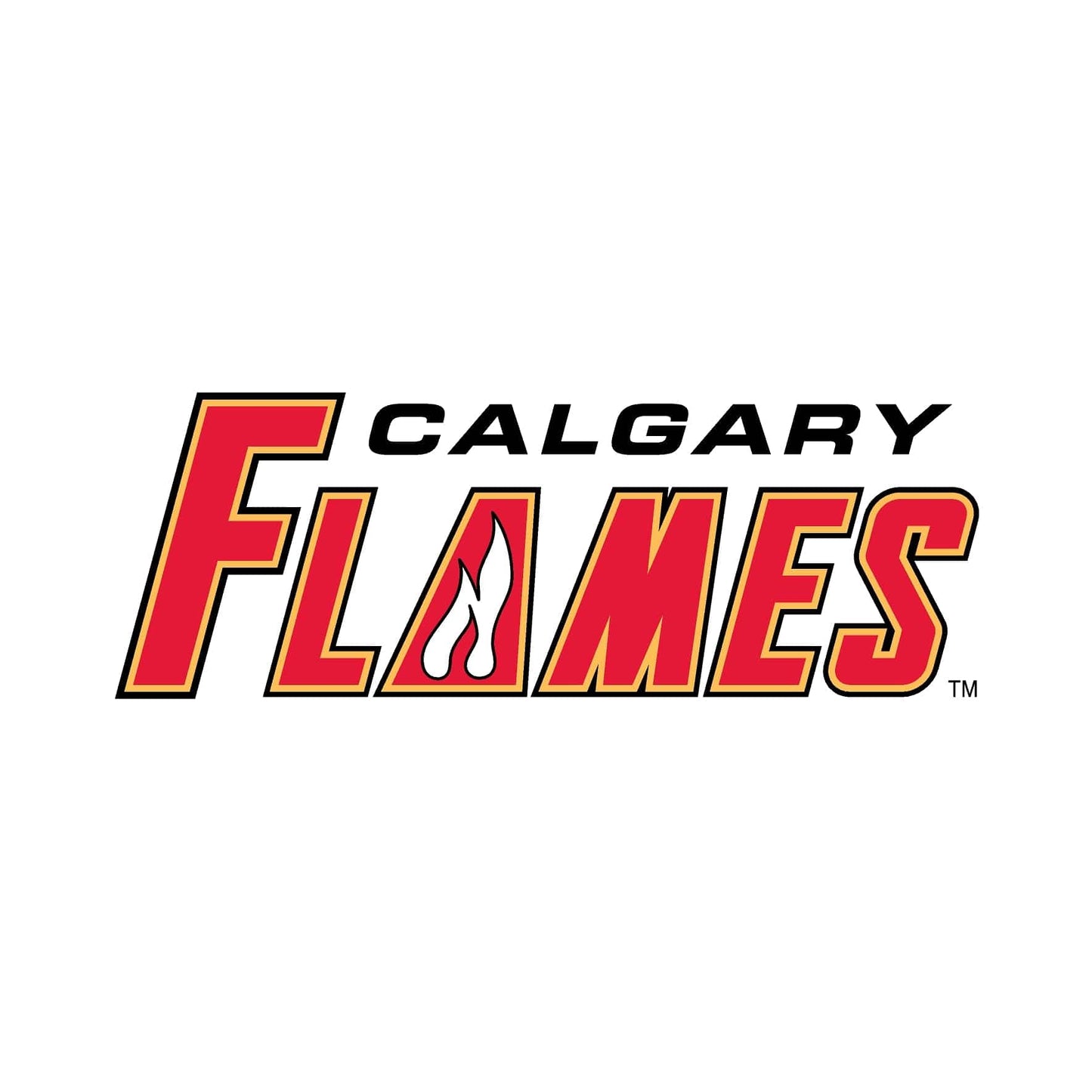 Calgary Flames® Puck Light Lens